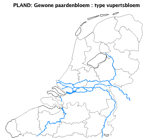 vupertsbloem